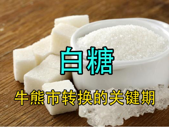 【中粮视点】白糖：牛熊转换的关键期