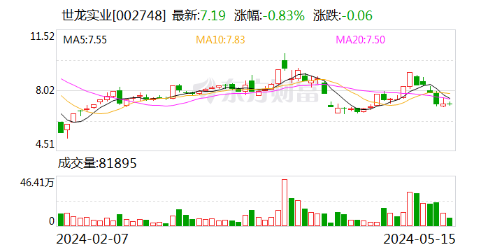 世龙实业：公司股票5月17日起被实施“其他风险警示”